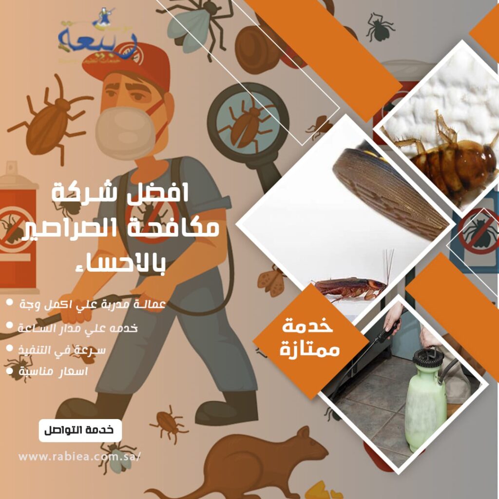 افضل شركة مكافحة الصراصير بالاحساء