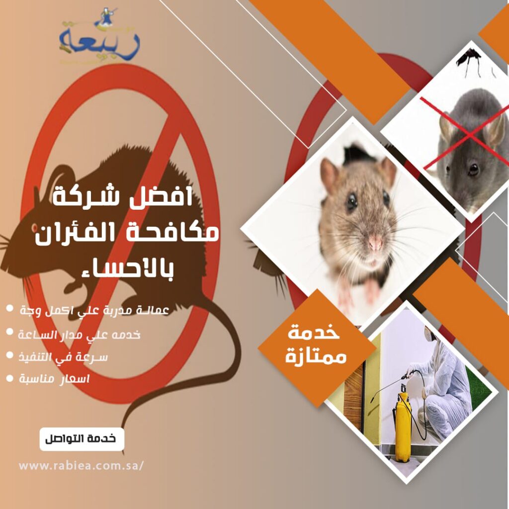 افضل شركة مكافحة الفئران بالاحساء