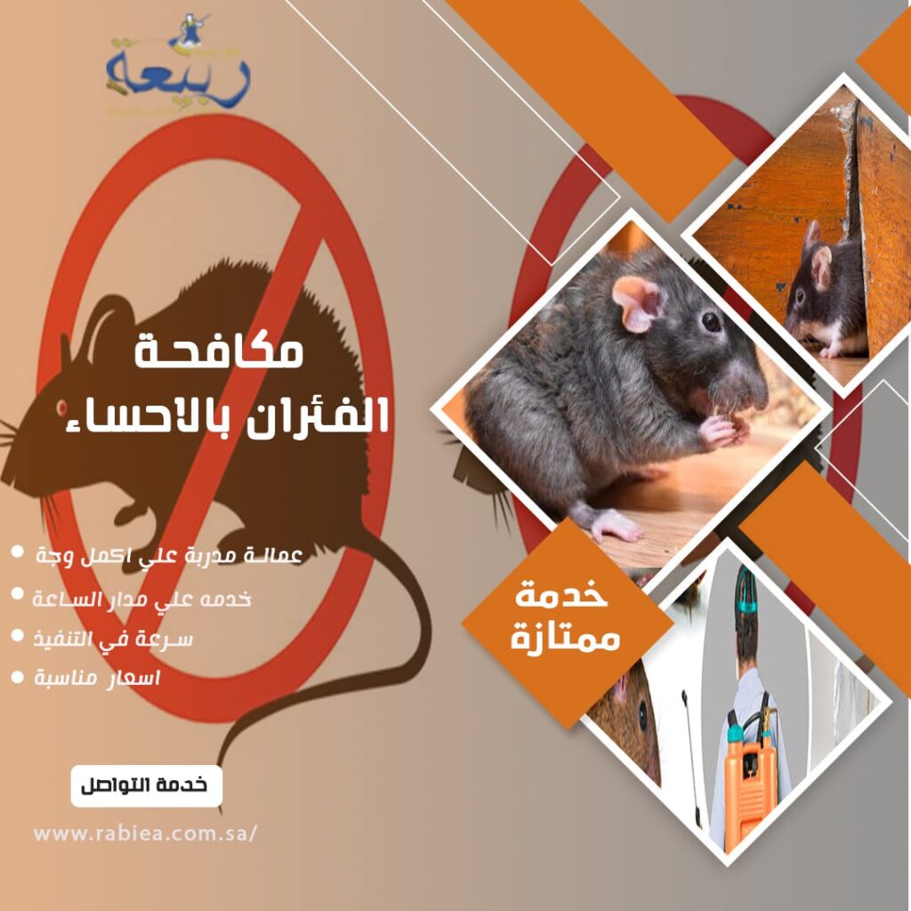 مكافحة الفئران بالاحساء